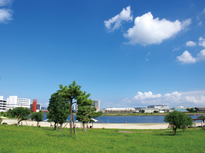 入江や干潟を持つ都内では初めての区立海浜公園である大森ふるさとの浜辺公園