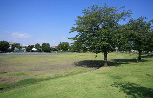 テニスコート、弓道場、相撲場など多くの運動施設を備えた富士見公園