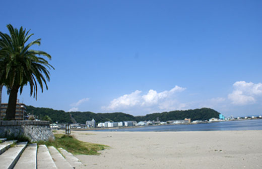 海岸線を形成する美しい稜線が、この地での暮らしを特別なものとしてくれる久里浜海岸