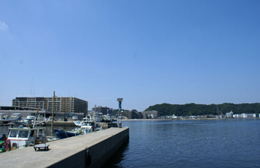 久里浜港から久里浜海岸線のマンション群を望む。