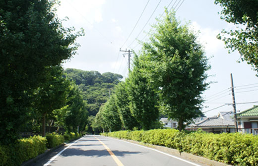 整備された幹線道路や植栽が、快適な住環境を生み出し、子供世代の情操教育にも成果をあげています。