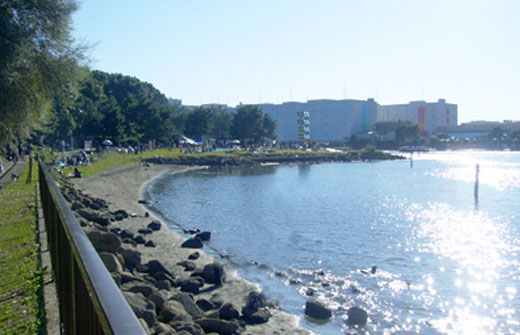 品川シーサイドエリアに位置する大井ふ頭中央海浜公園