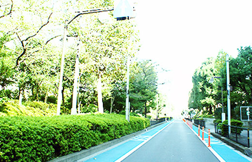 JR横須賀線西大井駅北側の緑道のような街並み。大井町駅へとつながっています。