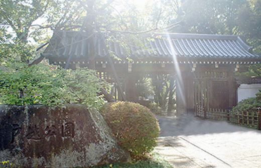 中原街道沿いに位置する戸越公園