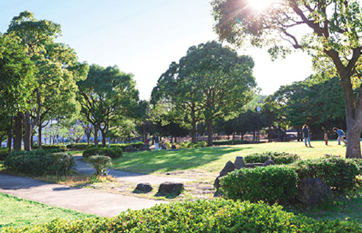 旧日本軍の横浜海軍航空隊の基地として開設され木立の中の散策や野鳥観察を楽しむことができる富岡総合公園